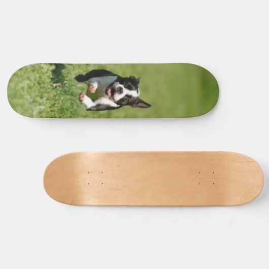 Boston Running Skateboard (Horizontaal)