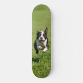 Boston Running Skateboard (Voorkant)
