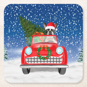 Boston shier Dog rijdt met sneeuwkerst Kartonnen Onderzetters