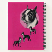 Boston shiers notitieboek (Achterkant)