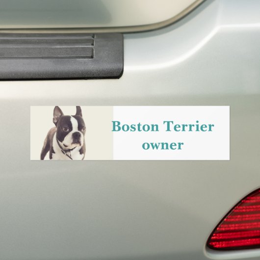 boston shister bumpersticker (Op auto)