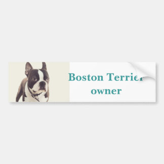 boston shister bumpersticker