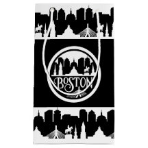 Boston Skyline