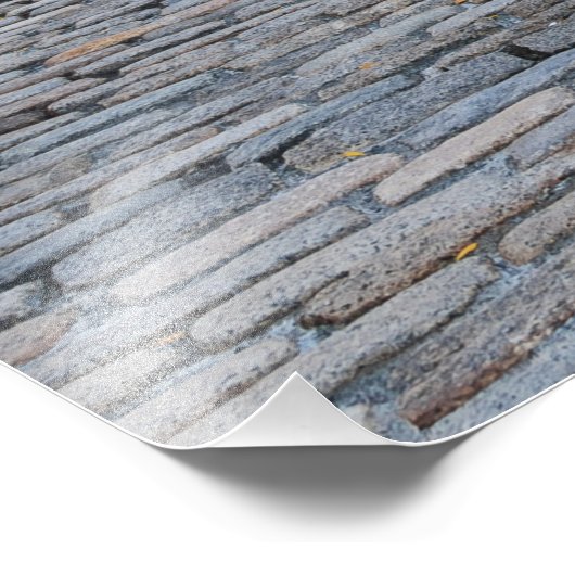 Boston Skyline Poster (Hoek)