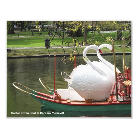 Boston Swan Boat Foto Foto Afdruk (Voorkant)