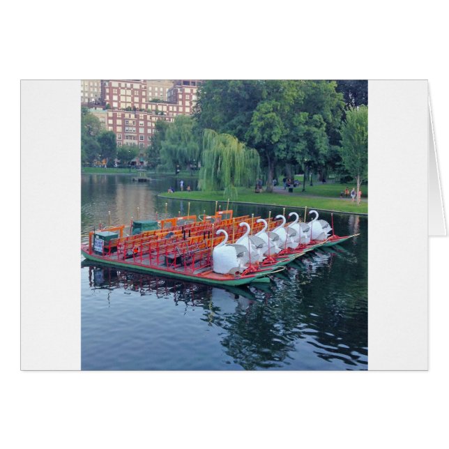 Boston Swan Boats (Voorkant Horizontaal)