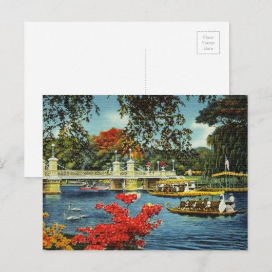 Boston Swan Boats Briefkaart (Voorkant / Achterkant)
