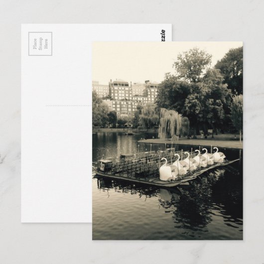Boston Swan Boats in zwart-wit Briefkaart (Voorkant / Achterkant)