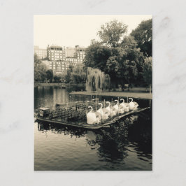 Boston Swan Boats in zwart-wit Briefkaart