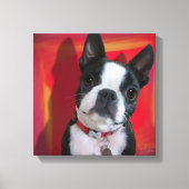 Boston Terrier 12x12 uitgerekt canvas (Voorkant)