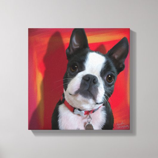 Boston Terrier 12x12 uitgerekt canvas (Voorkant)