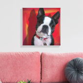 Boston Terrier 12x12 uitgerekt canvas (Insitu (Woonkamer))