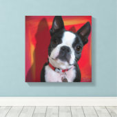 Boston Terrier 12x12 uitgerekt canvas (Insitu (Houten vloer))
