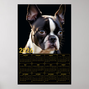 Boston Terrier 2026 Agenda Poster