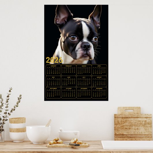 Boston Terrier 2026 Calendar  Poster (Keuken)