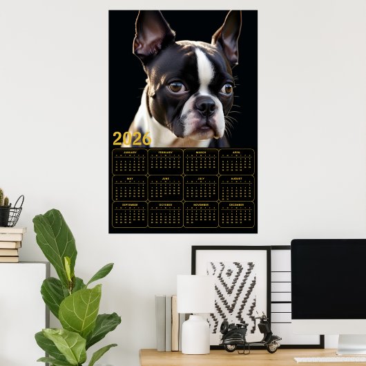 Boston Terrier 2026 Calendar  Poster (Thuiskantoor)