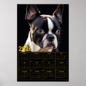 Boston Terrier 2026 Calendar  Poster (Voorkant)
