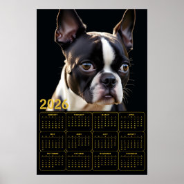 Boston Terrier 2026 Calendar  Poster
