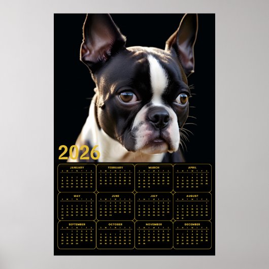Boston Terrier 2026 Calendar  Poster (Voorkant)
