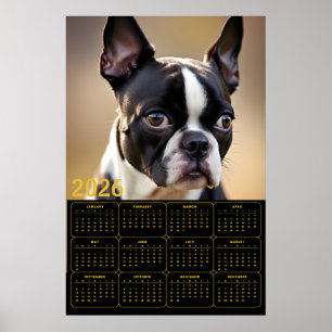 Boston Terrier 2026 Kalender  Poster