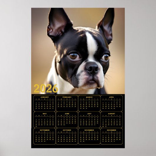 Boston Terrier 2026 Kalender Poster (Voorkant)