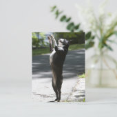 Boston Terrier 2 Briefkaart (Staand voorkant)