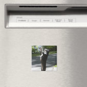 Boston Terrier 2 Magneet (Insitu (Vaatwasser))