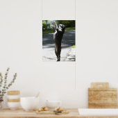 Boston Terrier 2 Poster (Keuken)