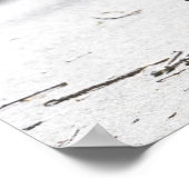 Boston Terrier 2 Poster (Hoek)