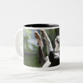 Boston Terrier 2 Tweekleurige Koffiemok (Voorkant links)