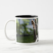 Boston Terrier 2 Tweekleurige Koffiemok (Links)