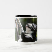 Boston Terrier 2 Tweekleurige Koffiemok (Center)