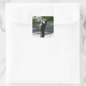 Boston Terrier 2 Vierkante Sticker (Tas)