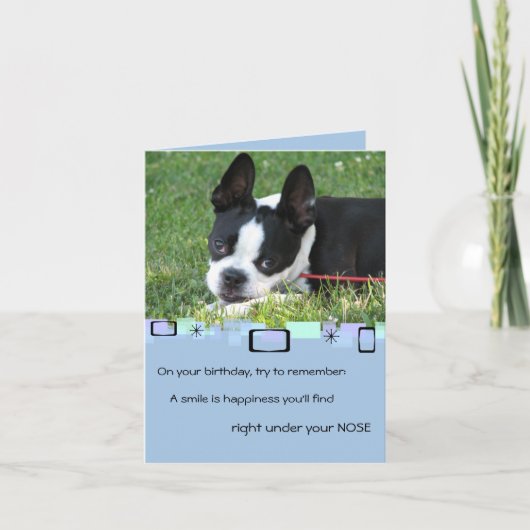 Boston Terrier All Occasion Wenskaart Kaart (Voorkant)