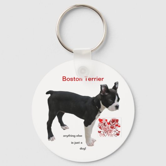 Boston Terrier Alles anders is maar een hond Sleutelhanger (Voorkant)