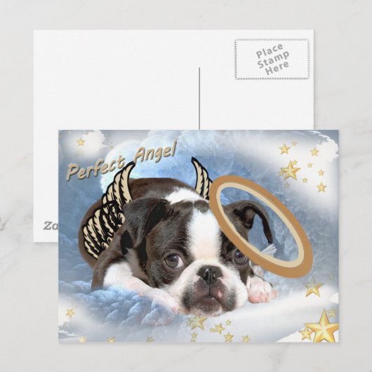 Boston Terrier Angel Kleding en geschenken Briefkaart (Voorkant / Achterkant)