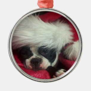 Boston Terrier-(awake-kerstornament) Metalen Ornament
