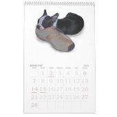 Boston Terrier Babies Kalender (Feb 2027)