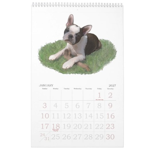 Boston Terrier Babies Kalender (Jan 2027)