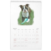 Boston Terrier Babies Kalender (Mar 2027)