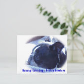 Boston Terrier:  Beauty, Love, Joy Briefkaart (Staand voorkant)