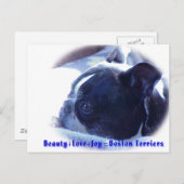 Boston Terrier:  Beauty, Love, Joy Briefkaart (Voorkant / Achterkant)