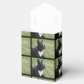 Boston Terrier Bedankdoosjes (Geopend)