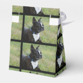 Boston Terrier Bedankdoosjes (Achterkant)