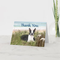 Boston Terrier Bedankt Card Beachgrass