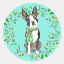 Boston Terrier Bestie