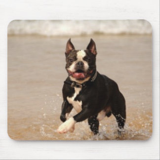 Boston Terrier bij Beach Mousepad Muismat