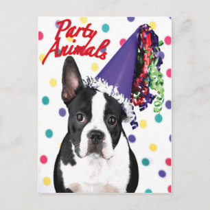 Boston Terrier Birthday Card Briefkaart