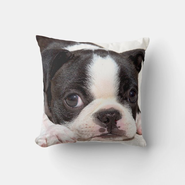 Boston Terrier Black en White Puppy Cushion Kussen (Voorkant)