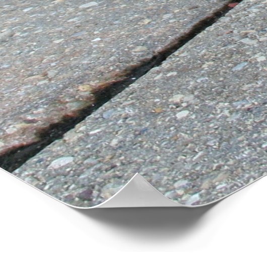 Boston Terrier Boston-5 Poster (Hoek)